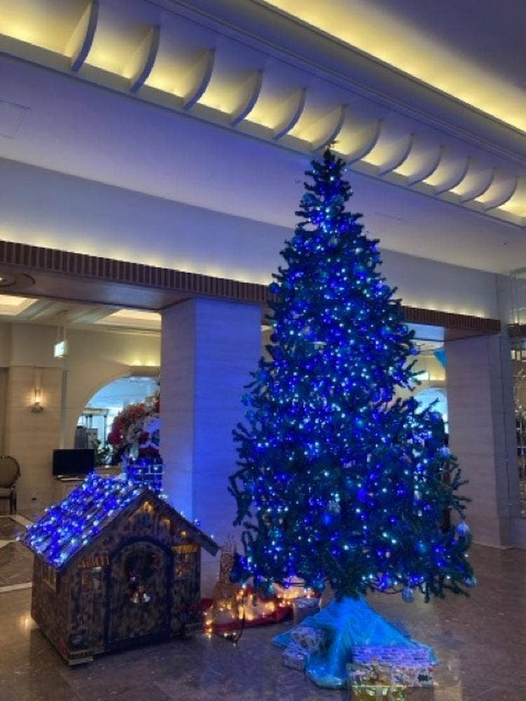 エクシブ白浜＆アネックス 南欧料理 鉄板焼