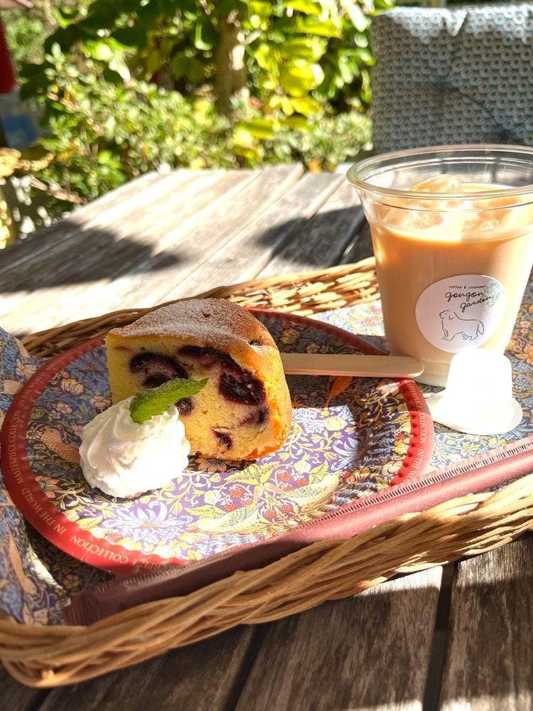 ゴンゴンガーデン