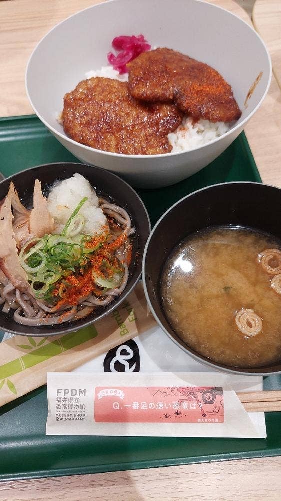 福井県立恐竜博物館 レストラン