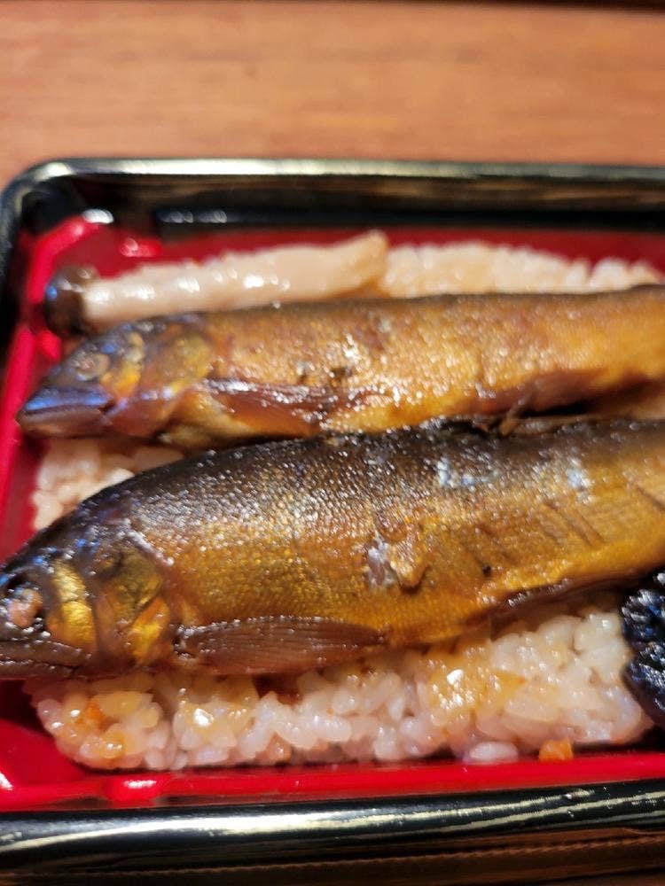 より藤