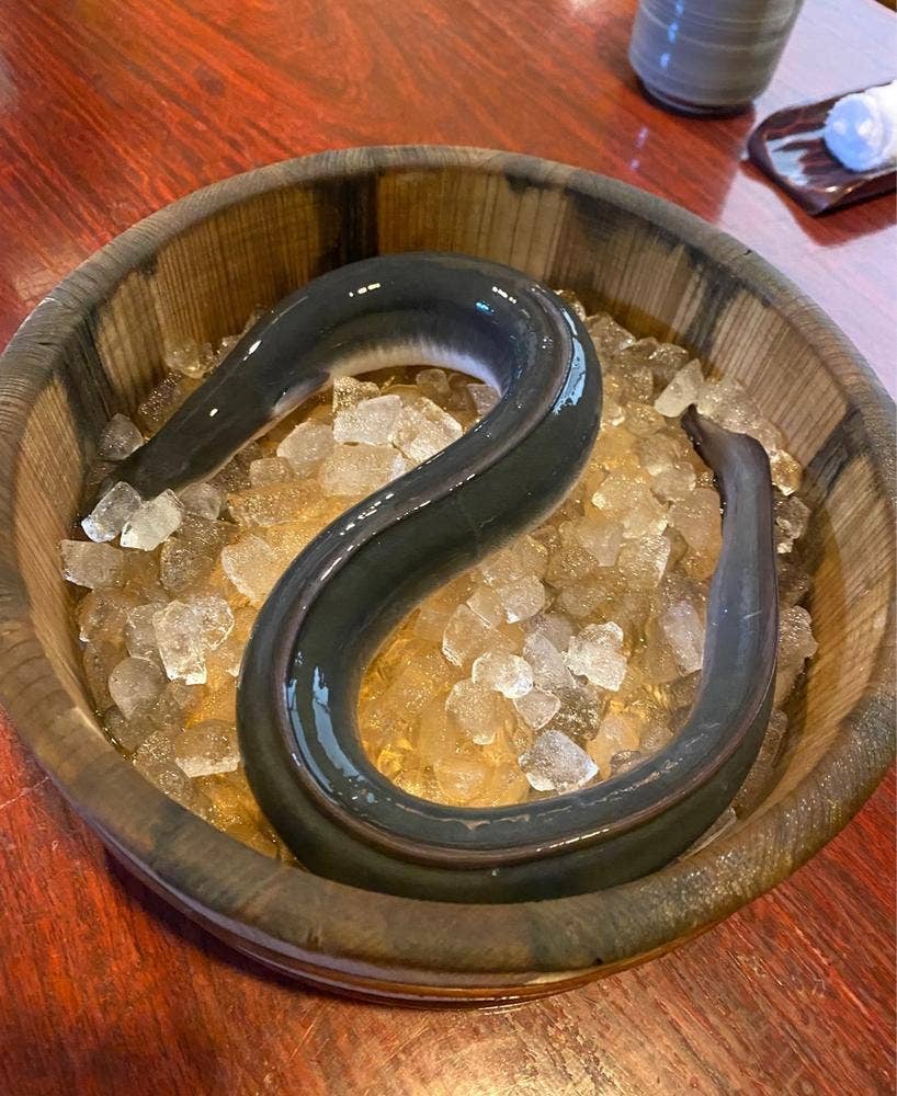 炭火焼きうなぎ 麟