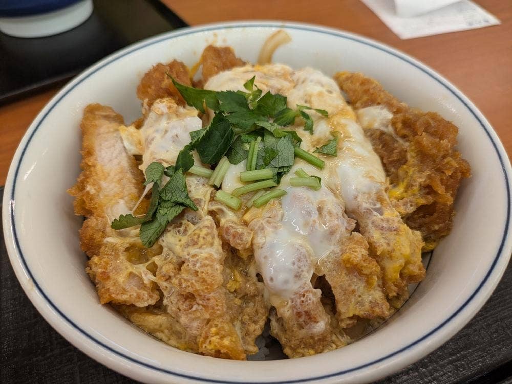 かつや 長野飯田店