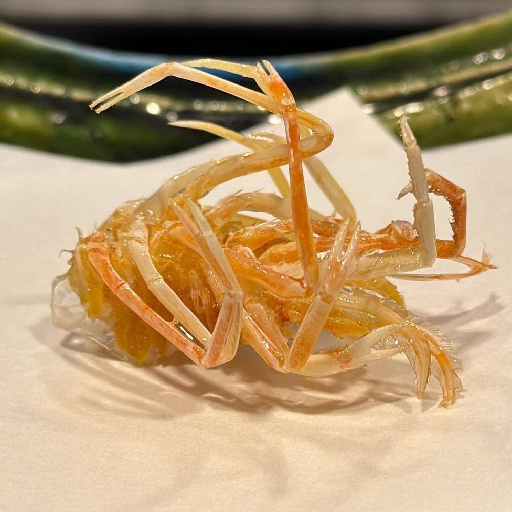 天麩羅いちかわ