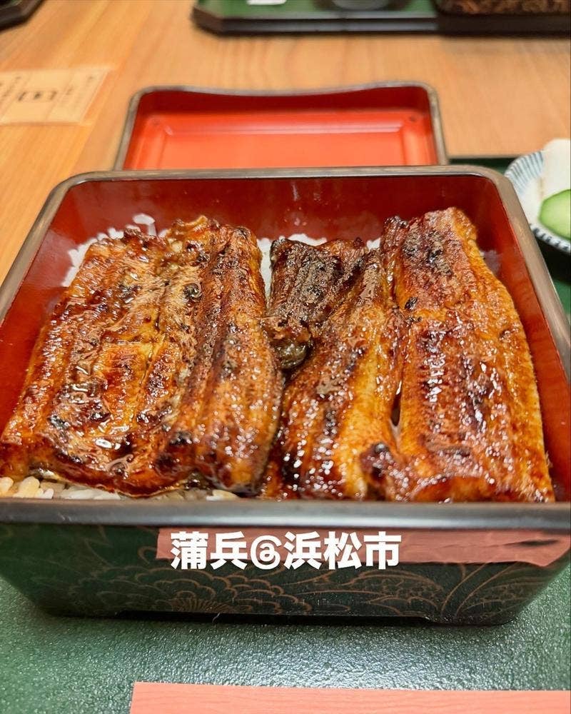 蒲兵