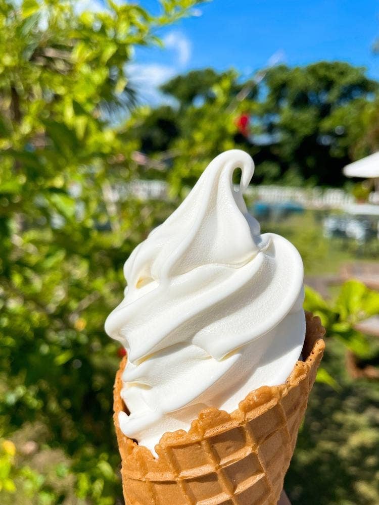 それいゆふぁ〜む