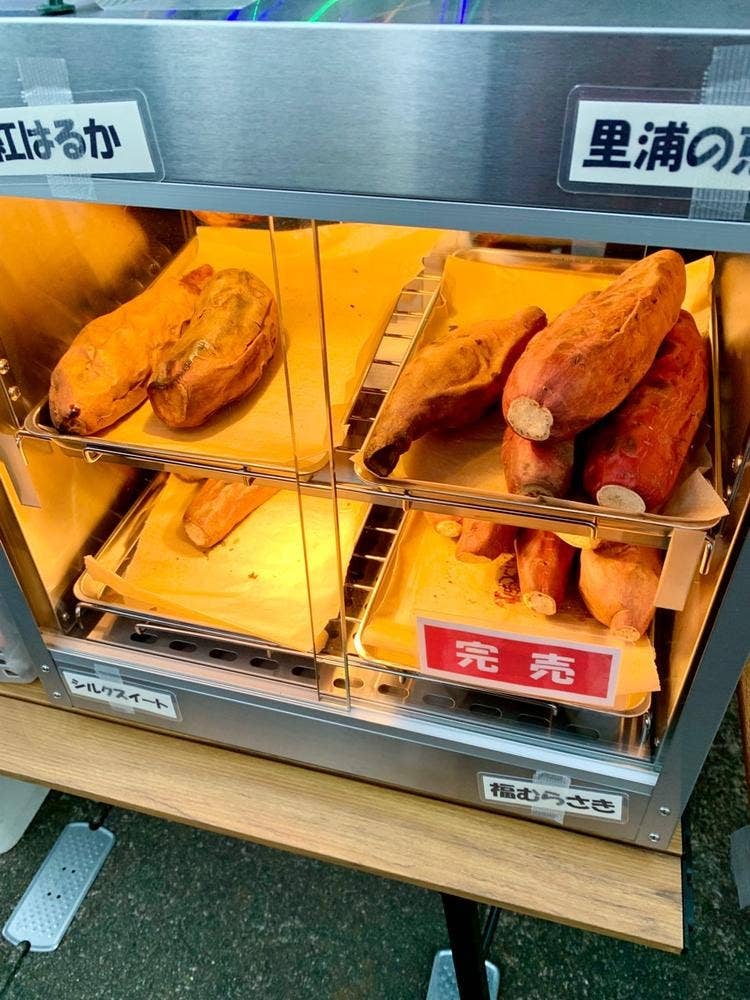 おおがさんち