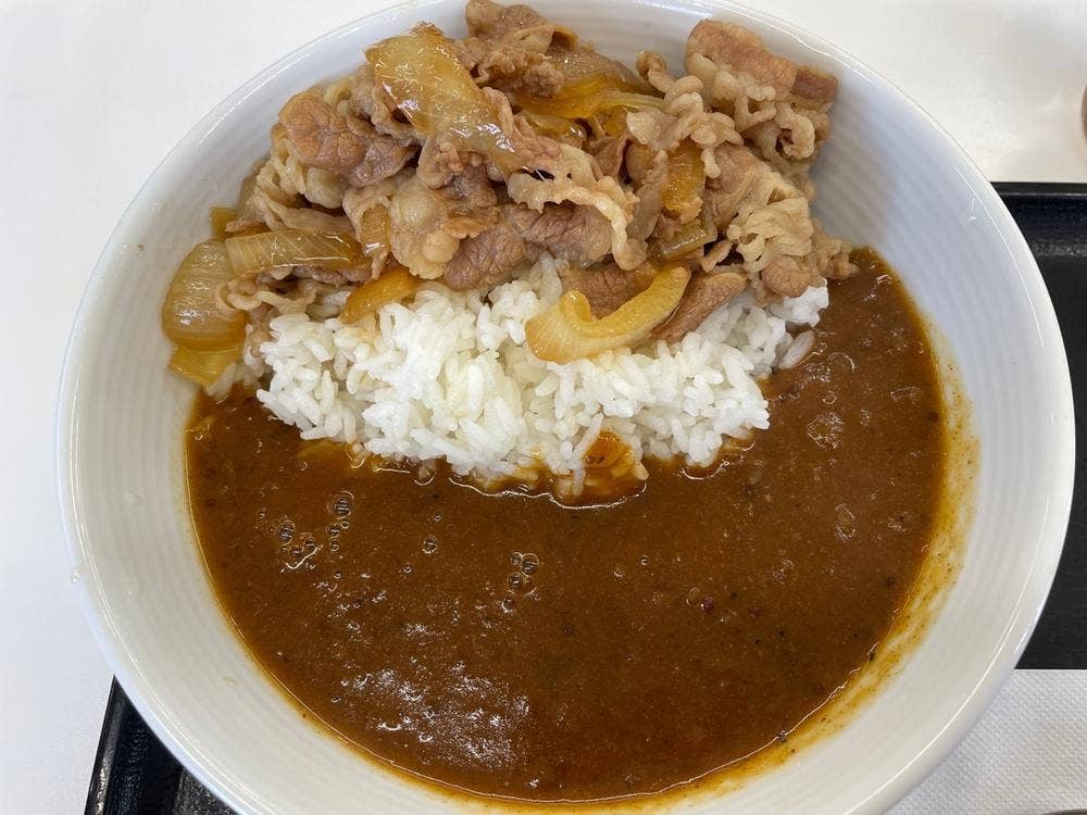吉野家 1号線岡崎東店