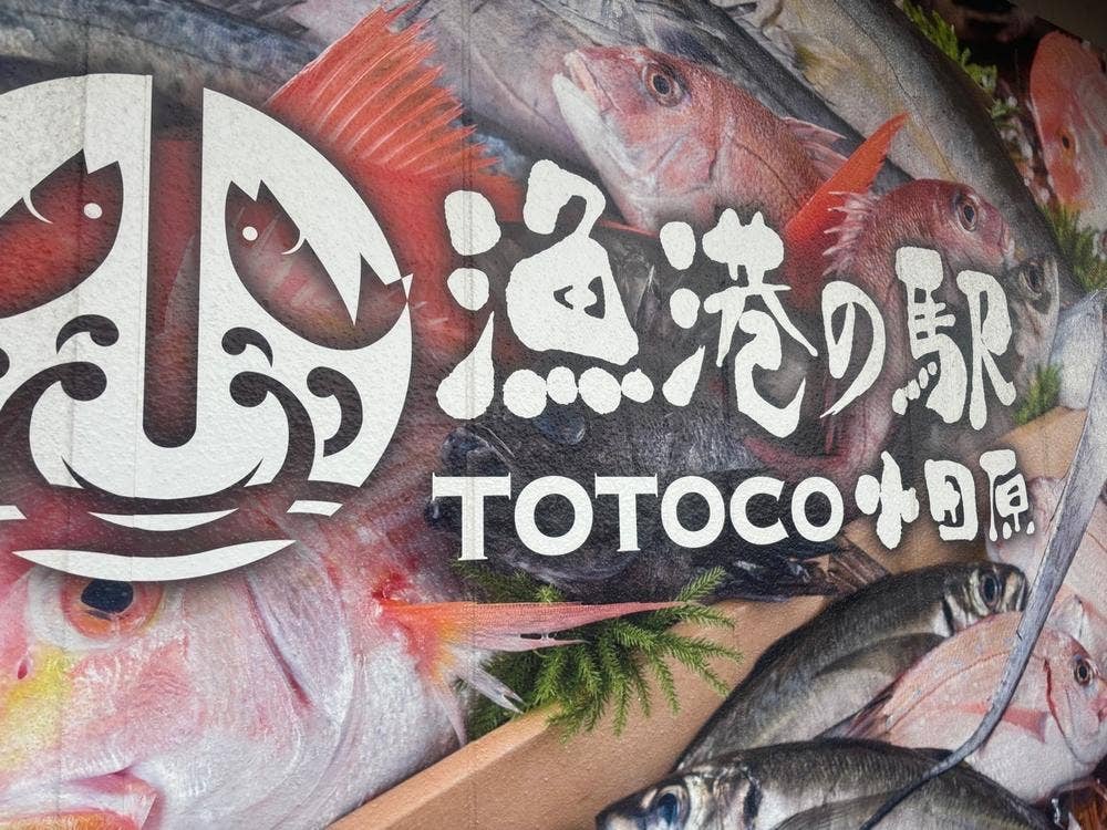 小田原漁港 とと丸食堂 TOTOCO小田原