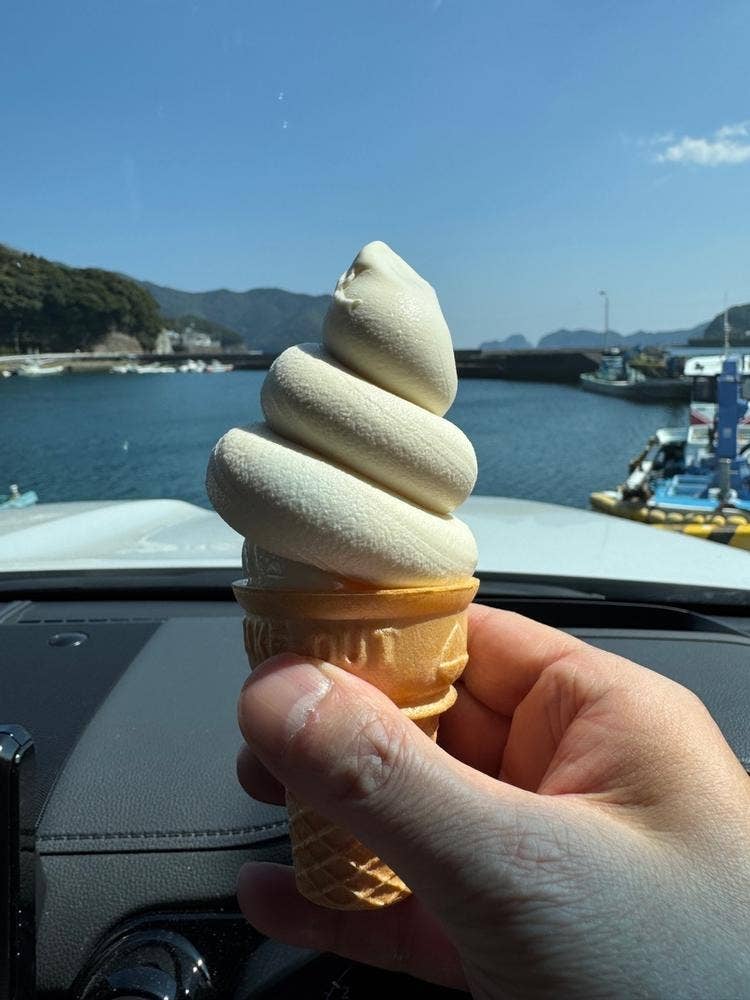 しらす料理の豊洋丸