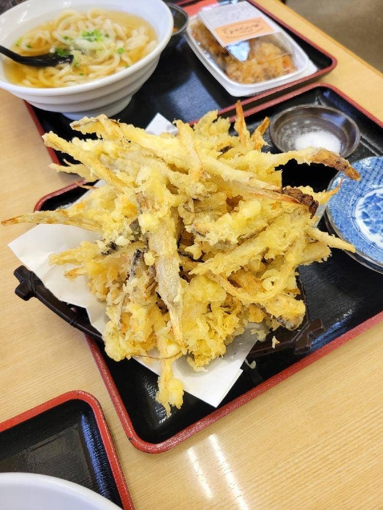 うどんのさと山