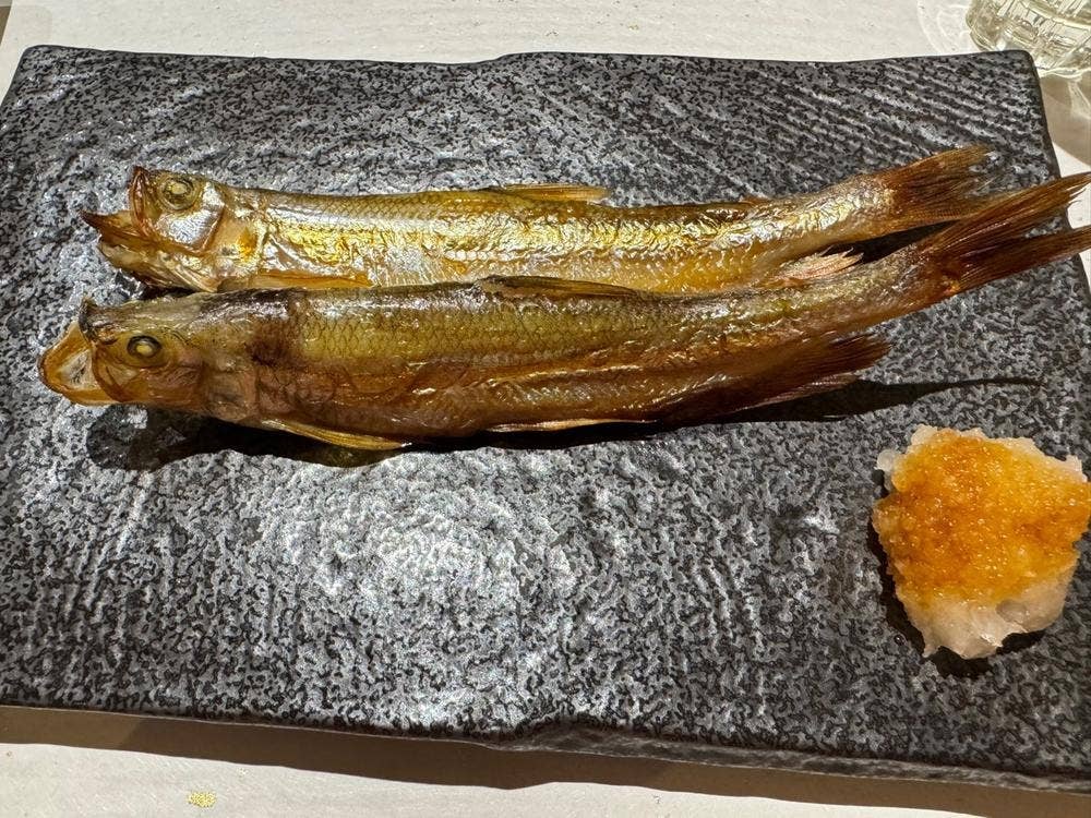 鮨 真魚
