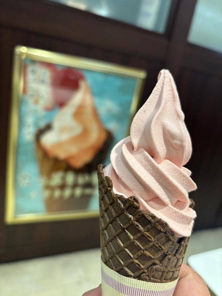 Le Conte Bleu ニットーモール店