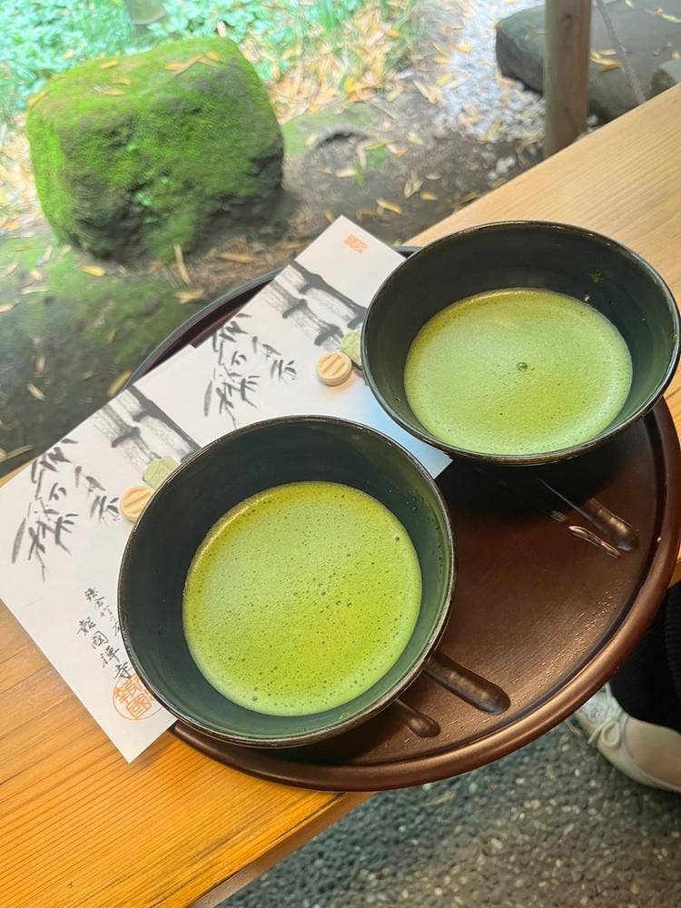 休耕庵 竹の庭の茶席