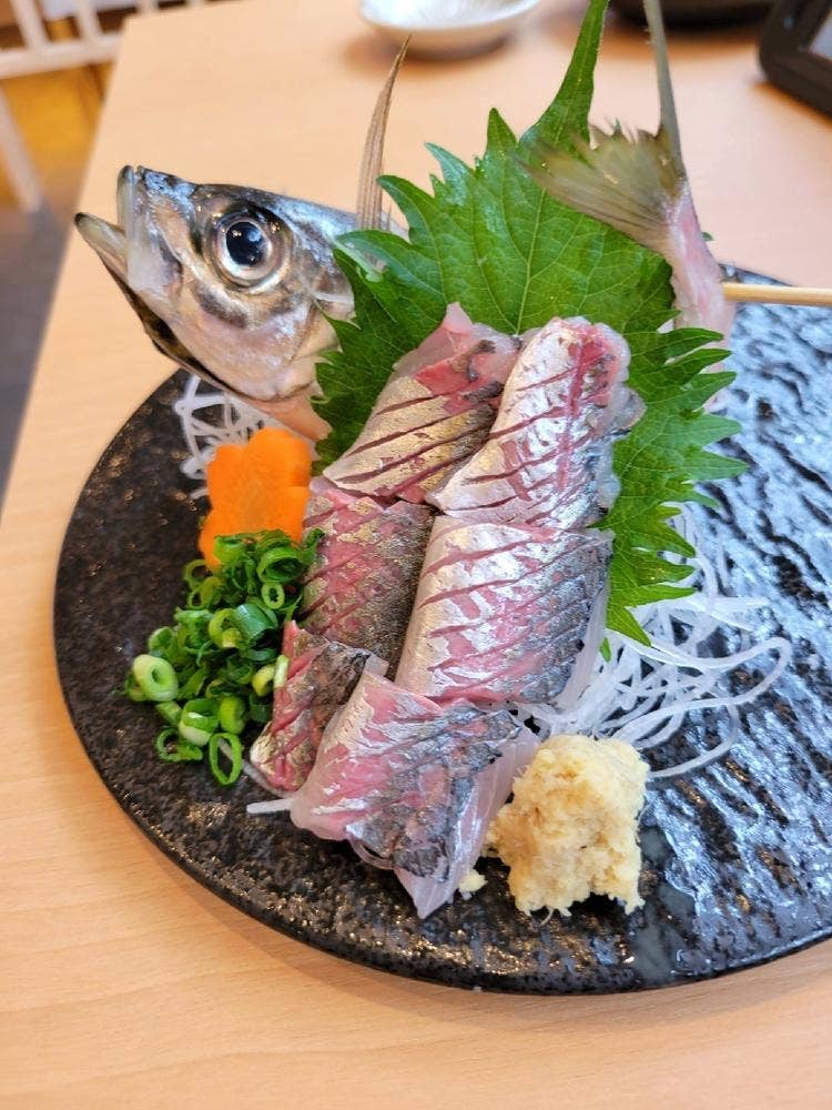 釣り師 鯵仙人