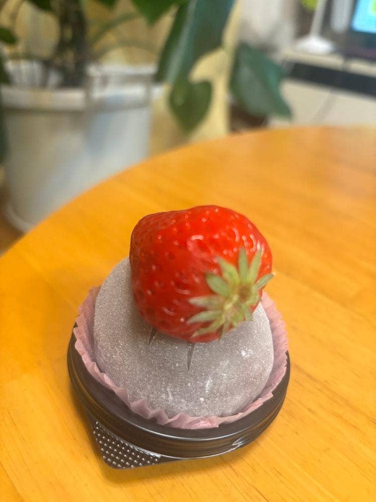 苺の里 Strawberry Garden