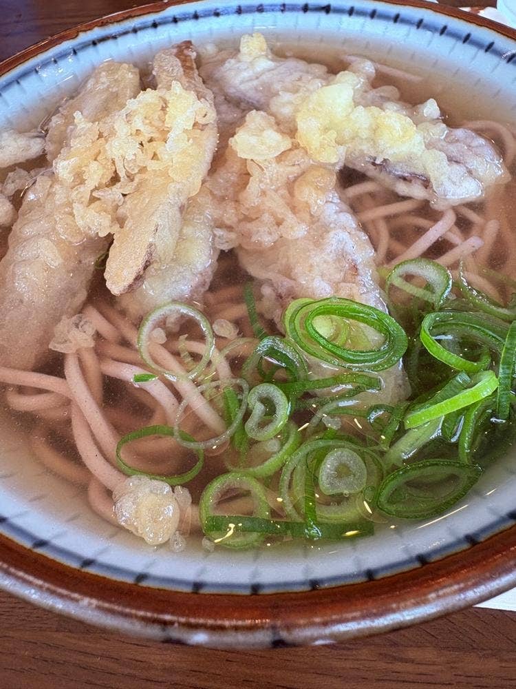 春の家うどん