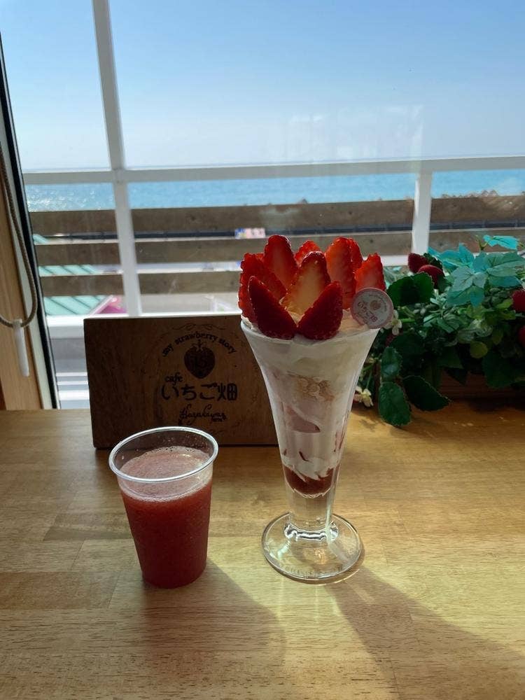 早川農園 Cafe &いちご畑