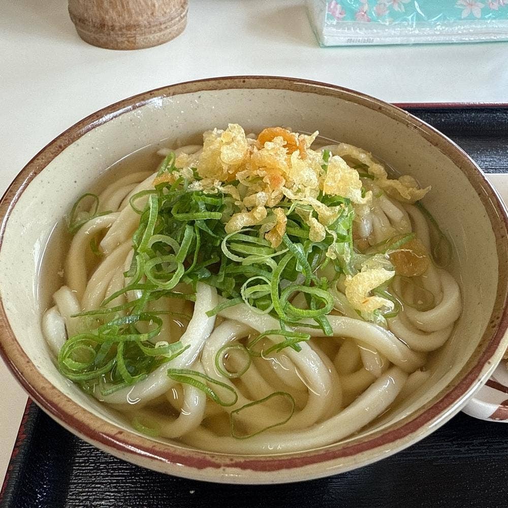 手打ちうどんたも屋林店