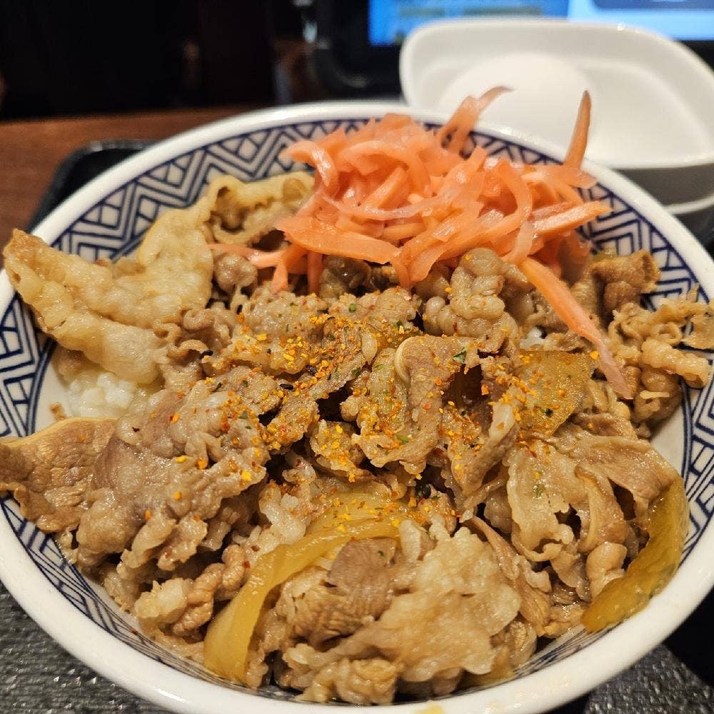 吉野家 羽田空港第2ターミナルビル店