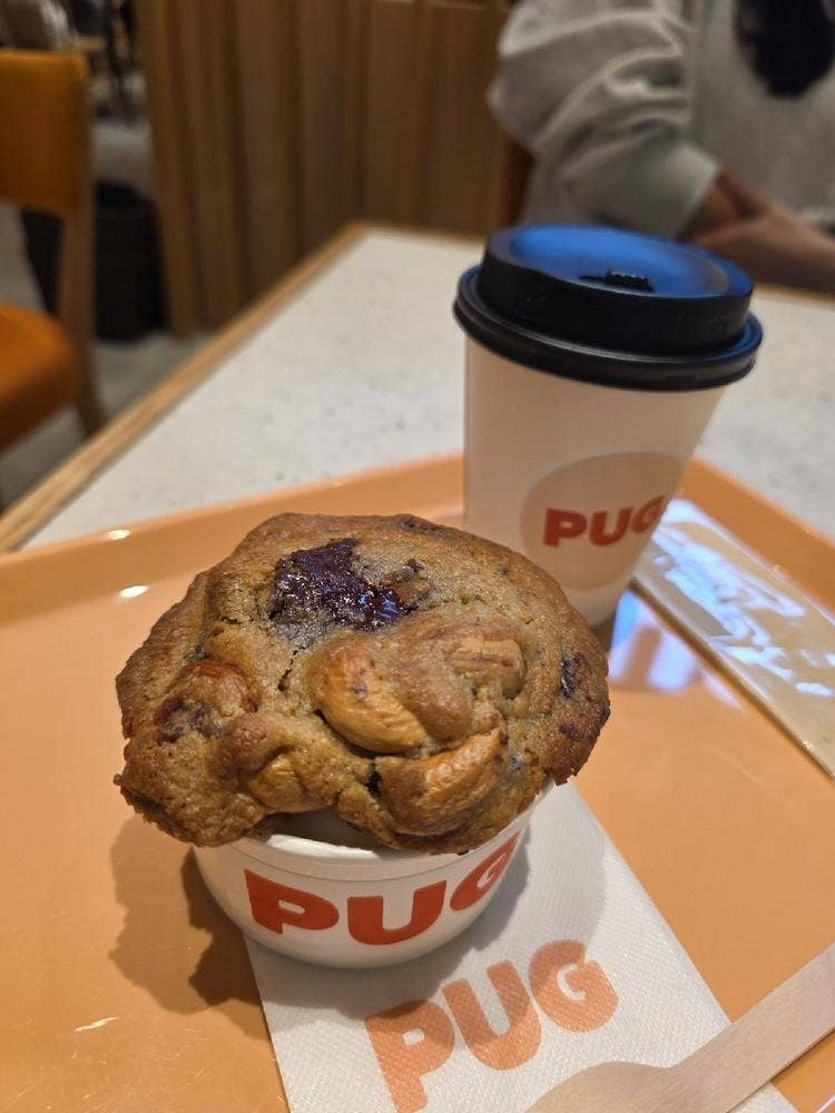 PUG グランツリー武蔵小杉店