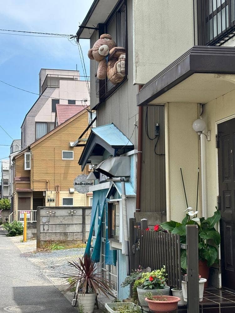 ハレアイナ