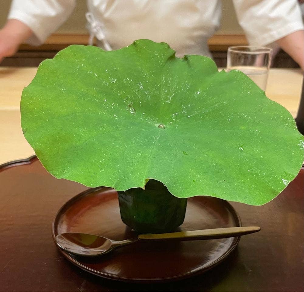 徳ㇵ本也