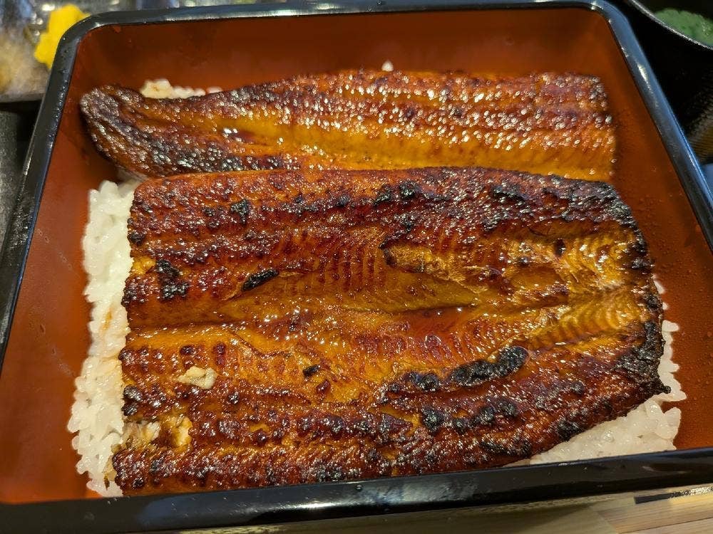 うなぎ処 陶華堂