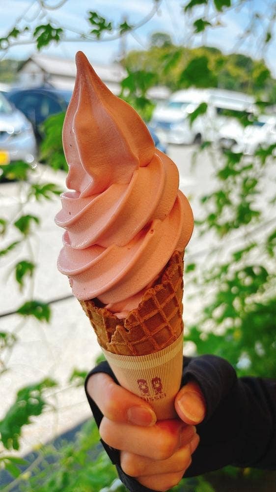 あすか夢販売所 ソフトクリーム売店