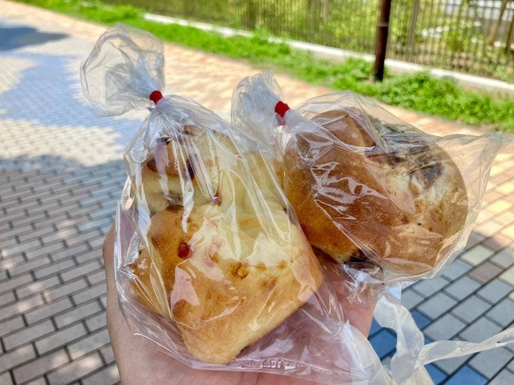 アポロパン