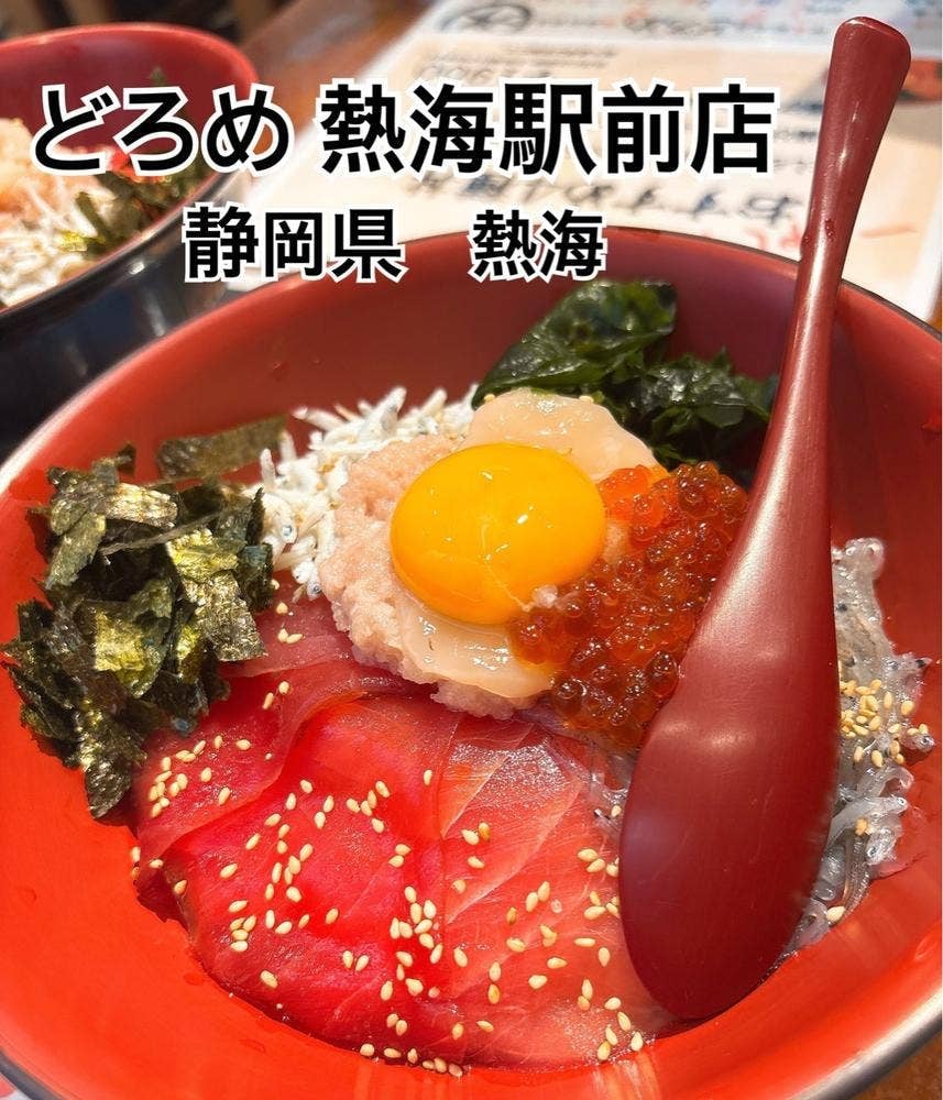 どろめ 熱海駅前店