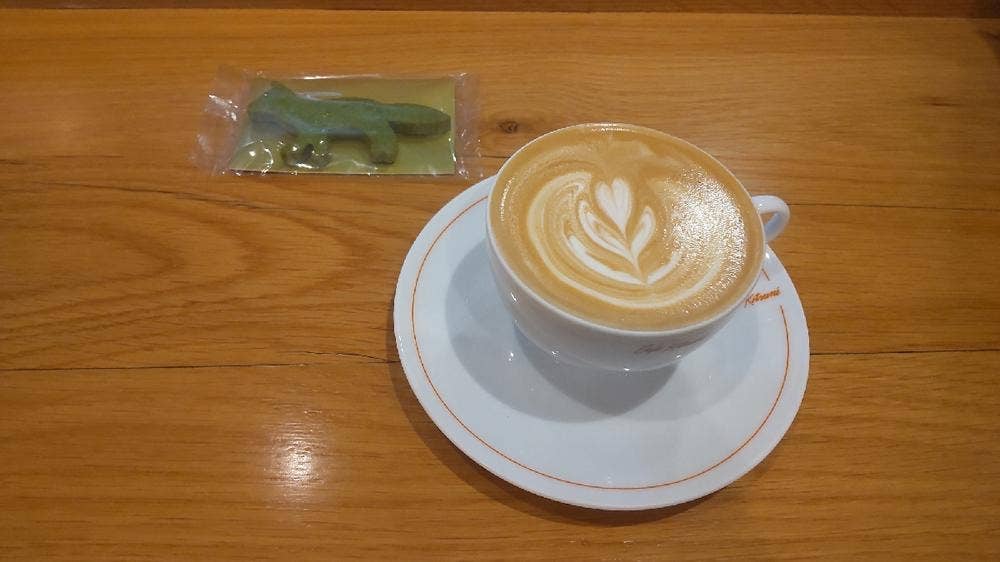 Café Kitsuné Shibuya カフェ キツネ 渋谷