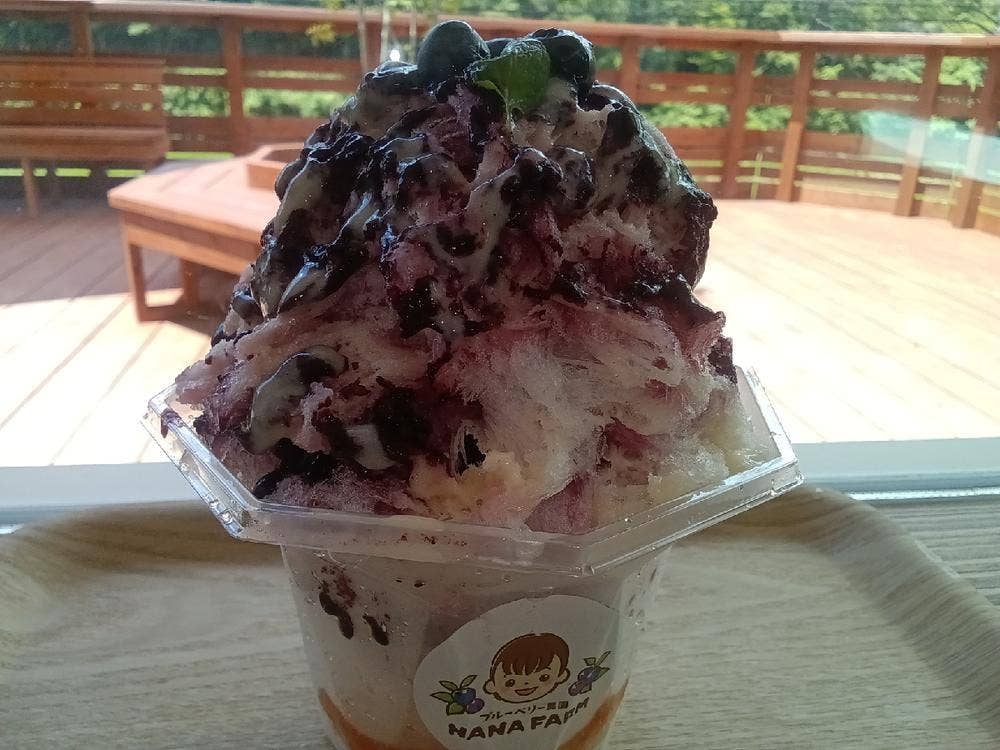 ブルーベリー農園 NANA FARM
