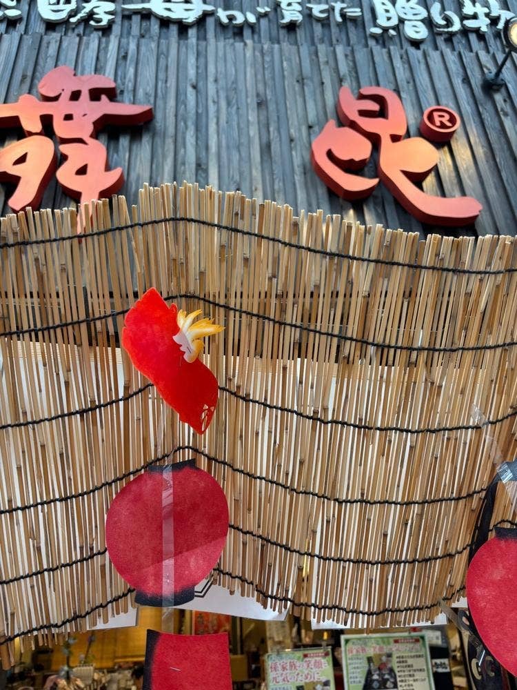 舞昆のこうはら心斎橋店