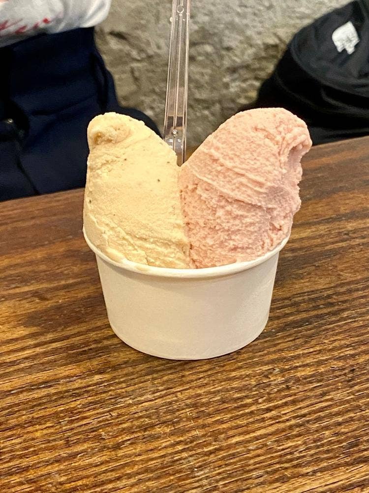 プレマルシェ・ジェラテリア & オルタナティブ・ジャンク 東京・中目黒駅前店