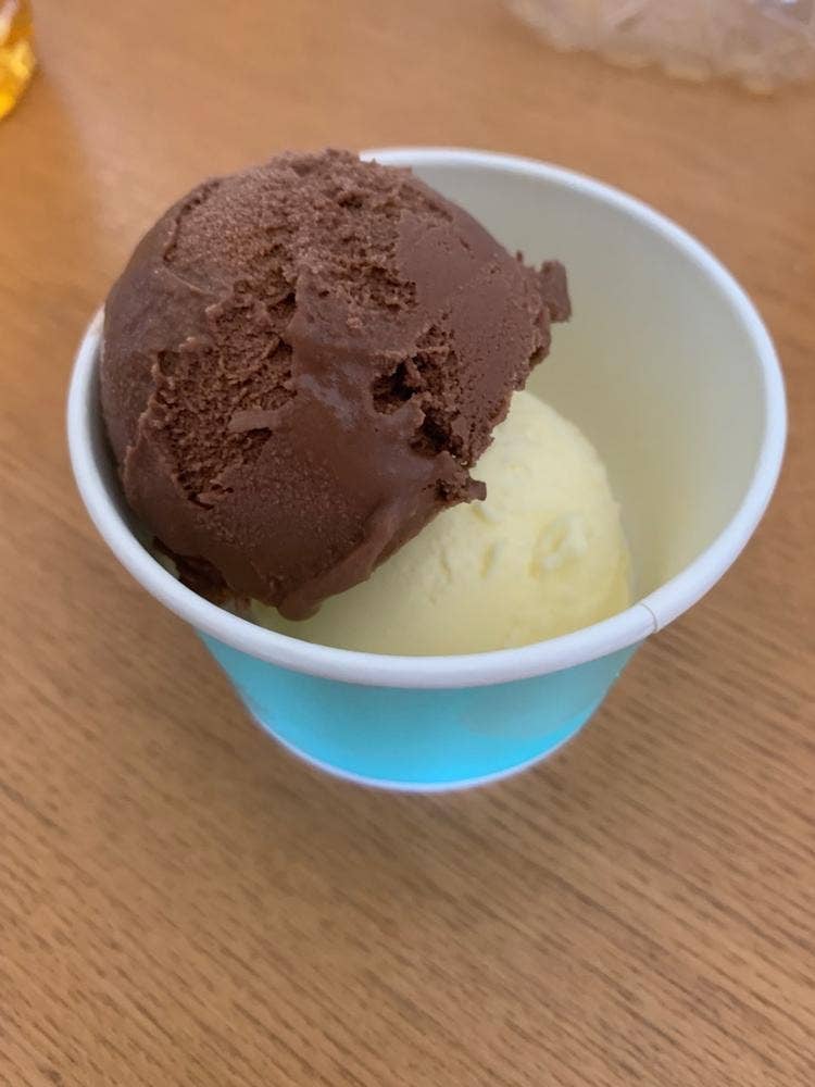 もみの樹