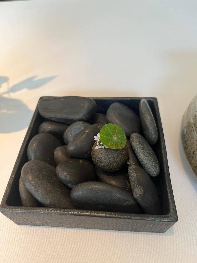 オトワ レストラン