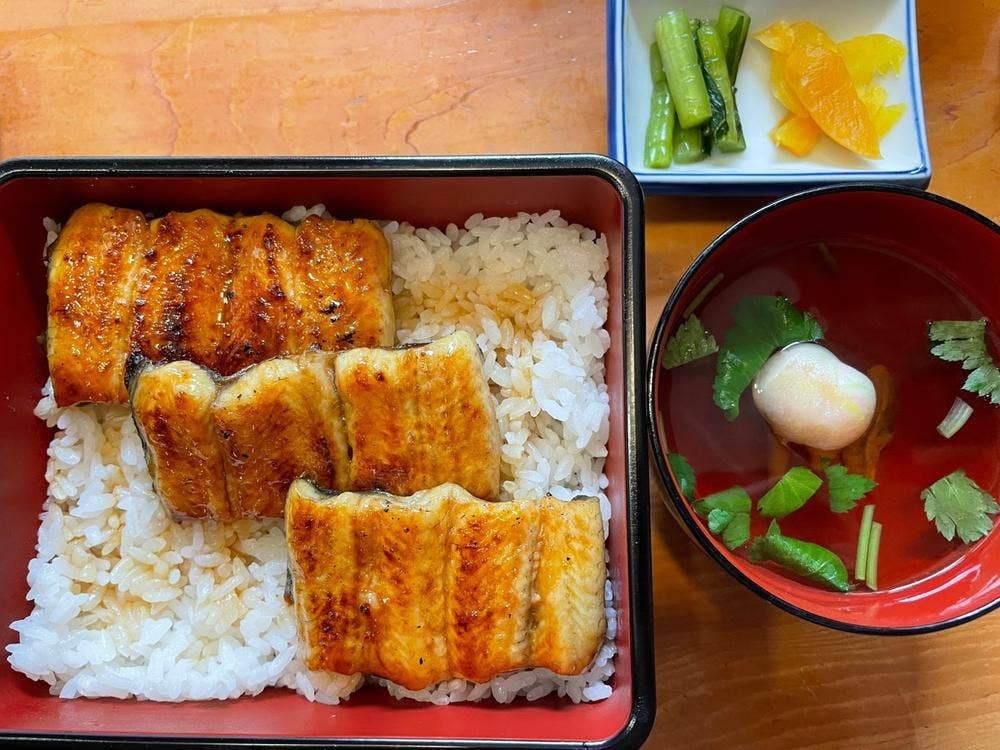うな藤