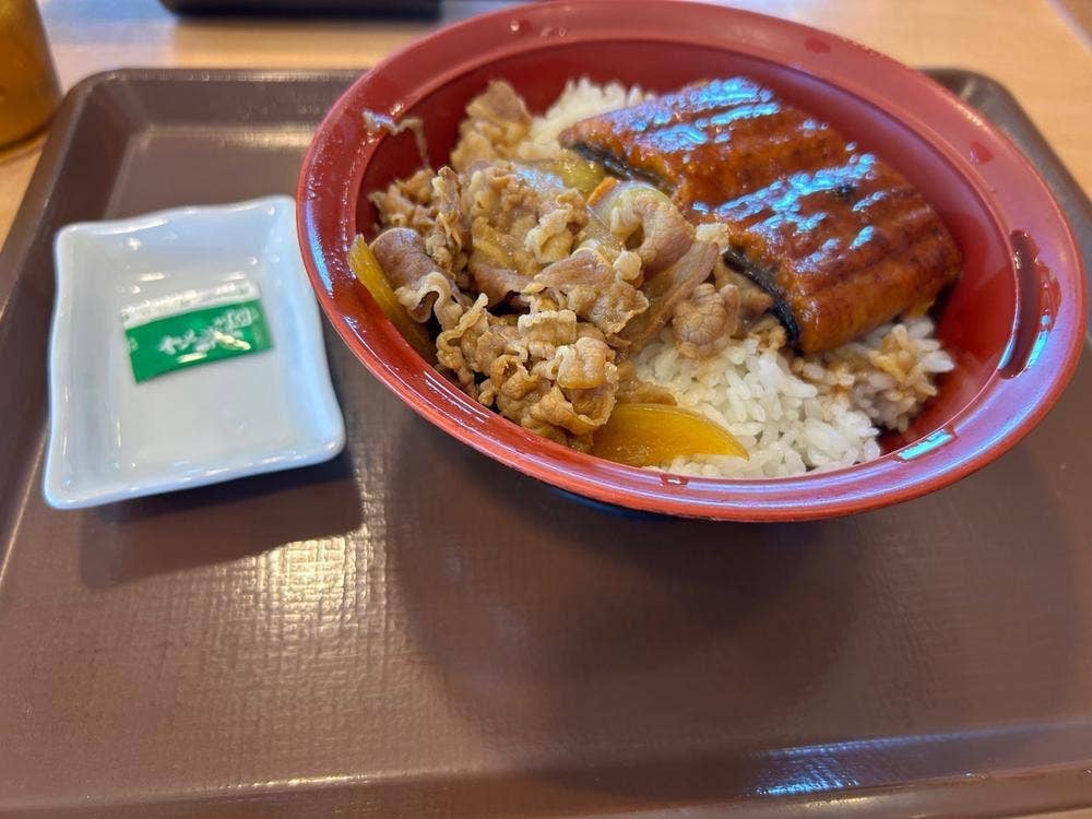 すき家 浜松入野店