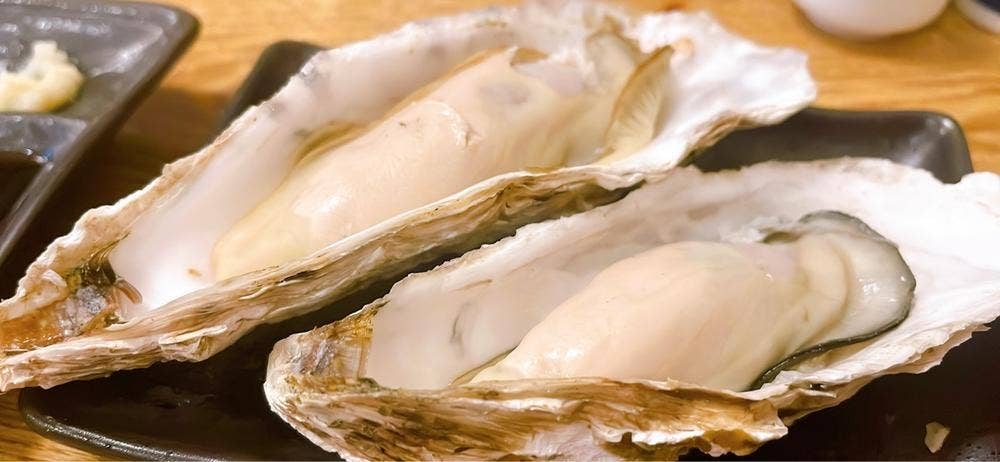 大衆酒場 まるや