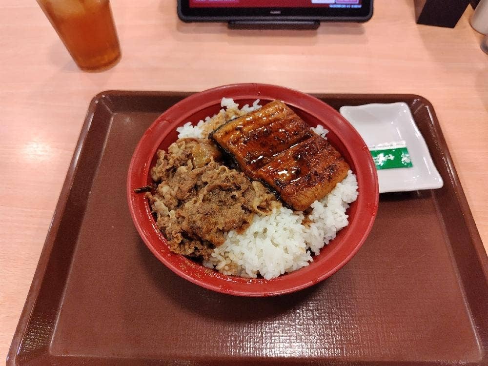 すき家 和泉はつが野店