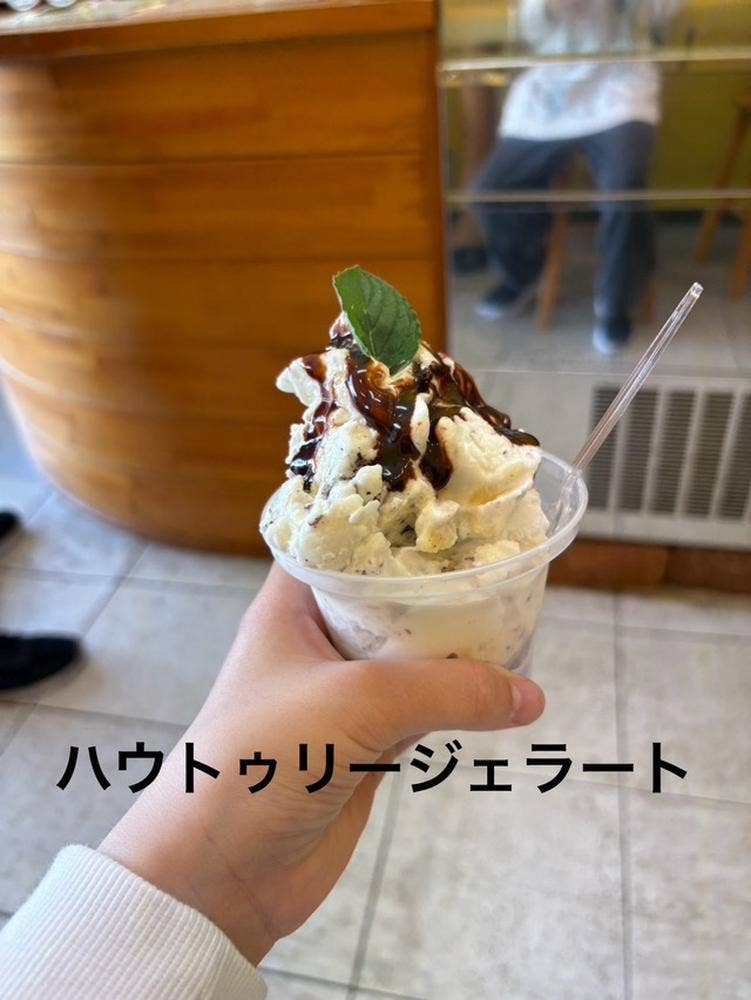 ハウトゥリージェラート