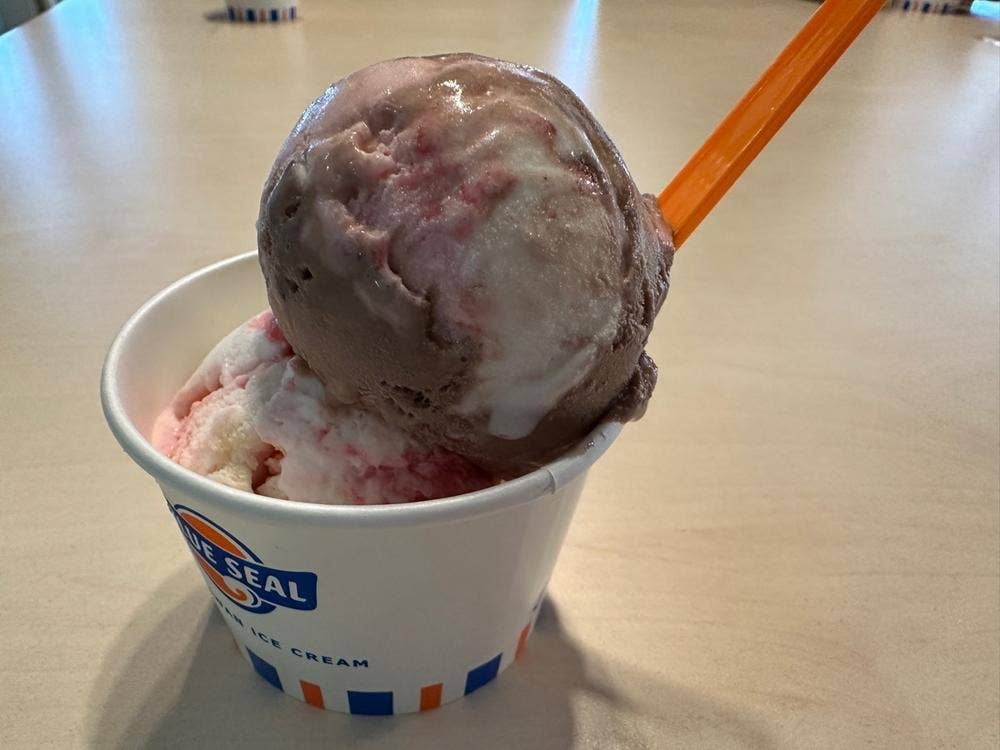 BLUE SEAL ICE CREAM