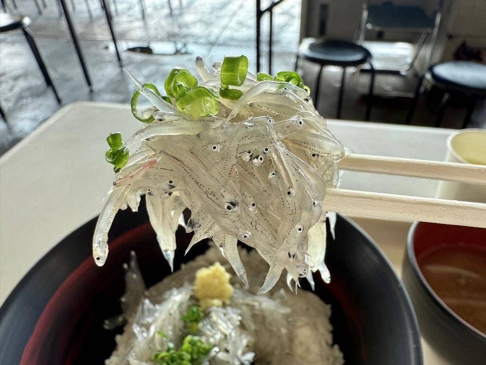 田子の浦漁協食堂