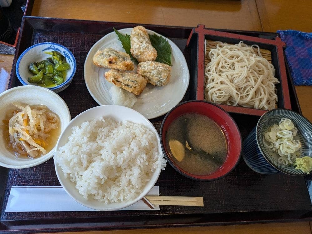 更科 美やこ