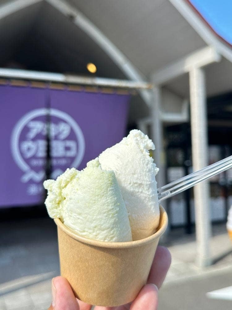 ウミヨコスタンド