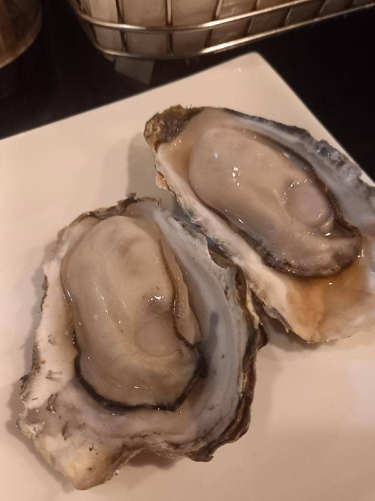 5坪 ススキノ店