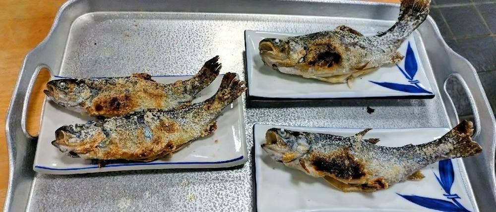 日の出町自然休養村 さかな園 食堂