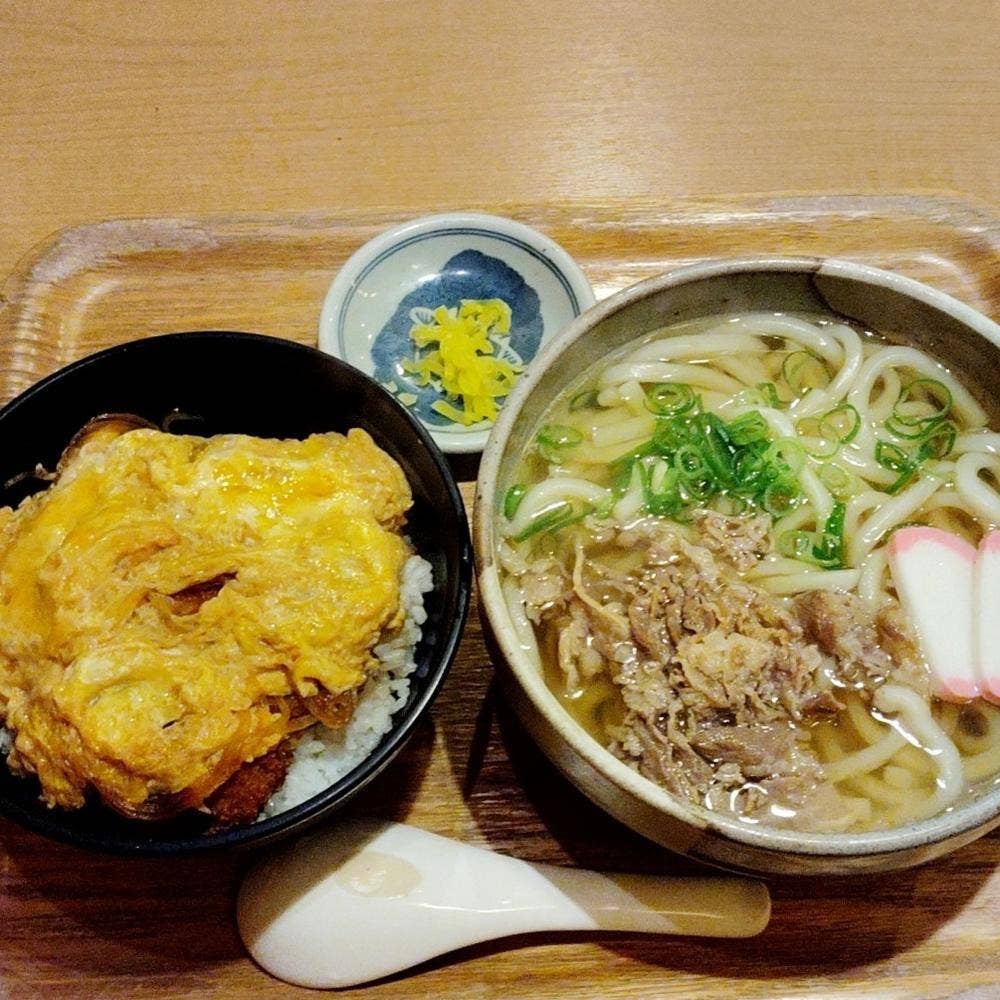 豆狸