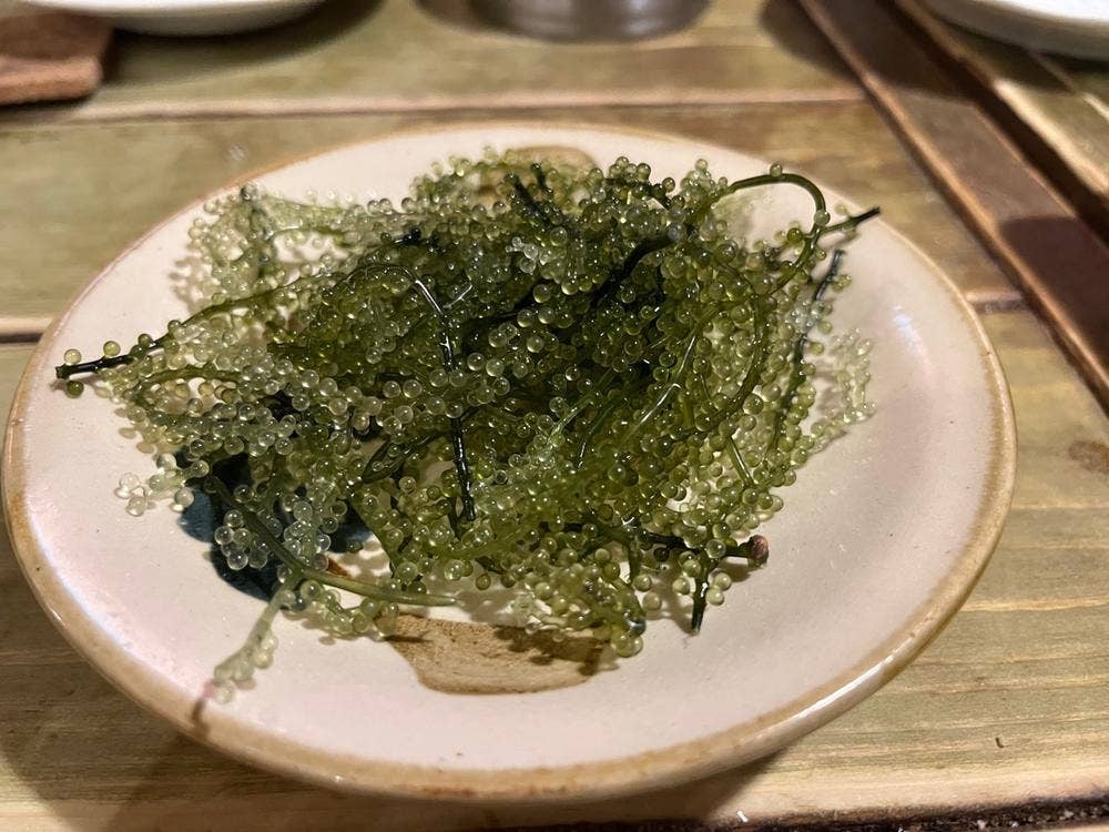 星屑亭