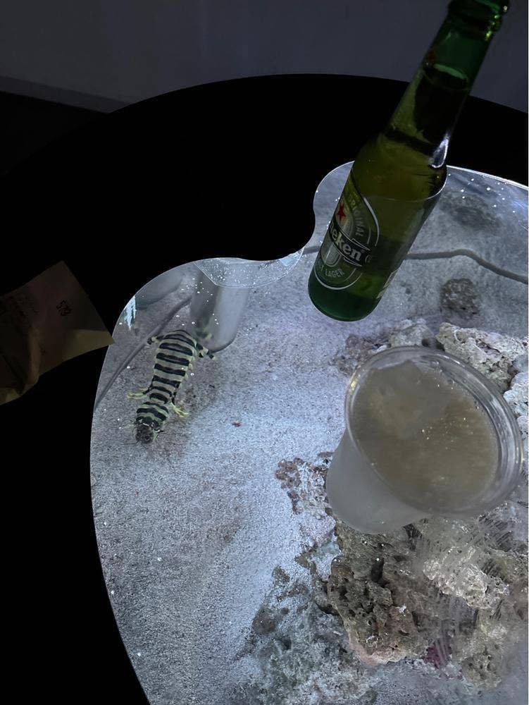 コーラルカフェバー アクアパーク品川